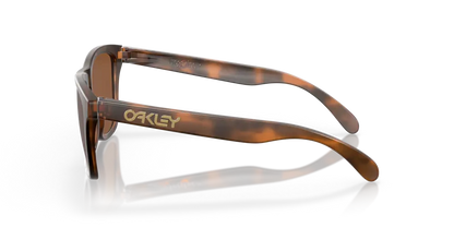 Oakley Frogskins MATT BROWN Tungsten